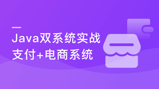 实战支付+电商双系统 玩转Java技术栈-青知木杂货铺