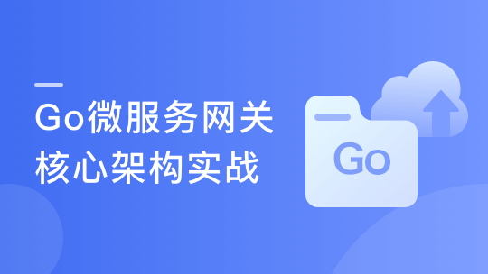 (打造简历金牌项目)Vue+Go 开发企业级微服务网关项目-青知木杂货铺