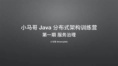 小马哥-Java 训练营第一期 Java 分布式架构 – 服务治理-青知木杂货铺