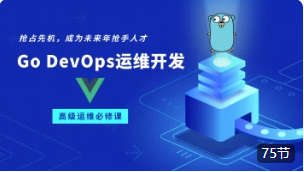 李振良-Golang DevOps运维开发实战集训营-青知木杂货铺