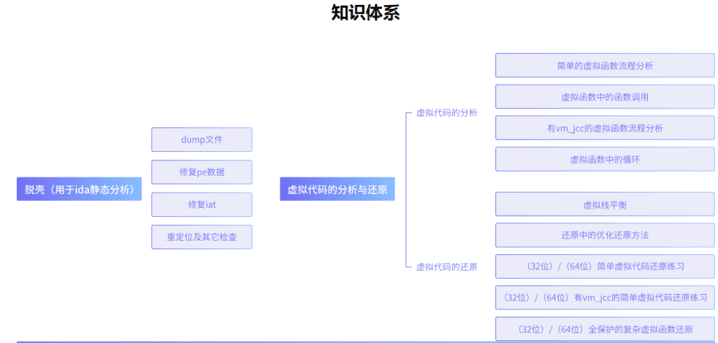 图片[1]-看雪学苑-VMProtect分析与还原-青知木杂货铺