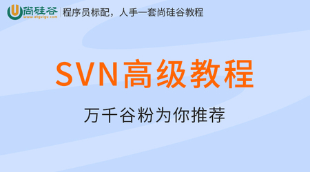 尚硅谷-SVN高级课程-青知木杂货铺