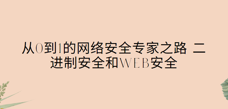 老鑫-从0到1的网络安全专家之路 二进制安全和Web安全-青知木杂货铺