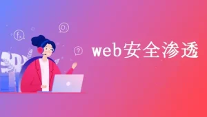 老男孩-Web安全渗透测试入门-青知木杂货铺